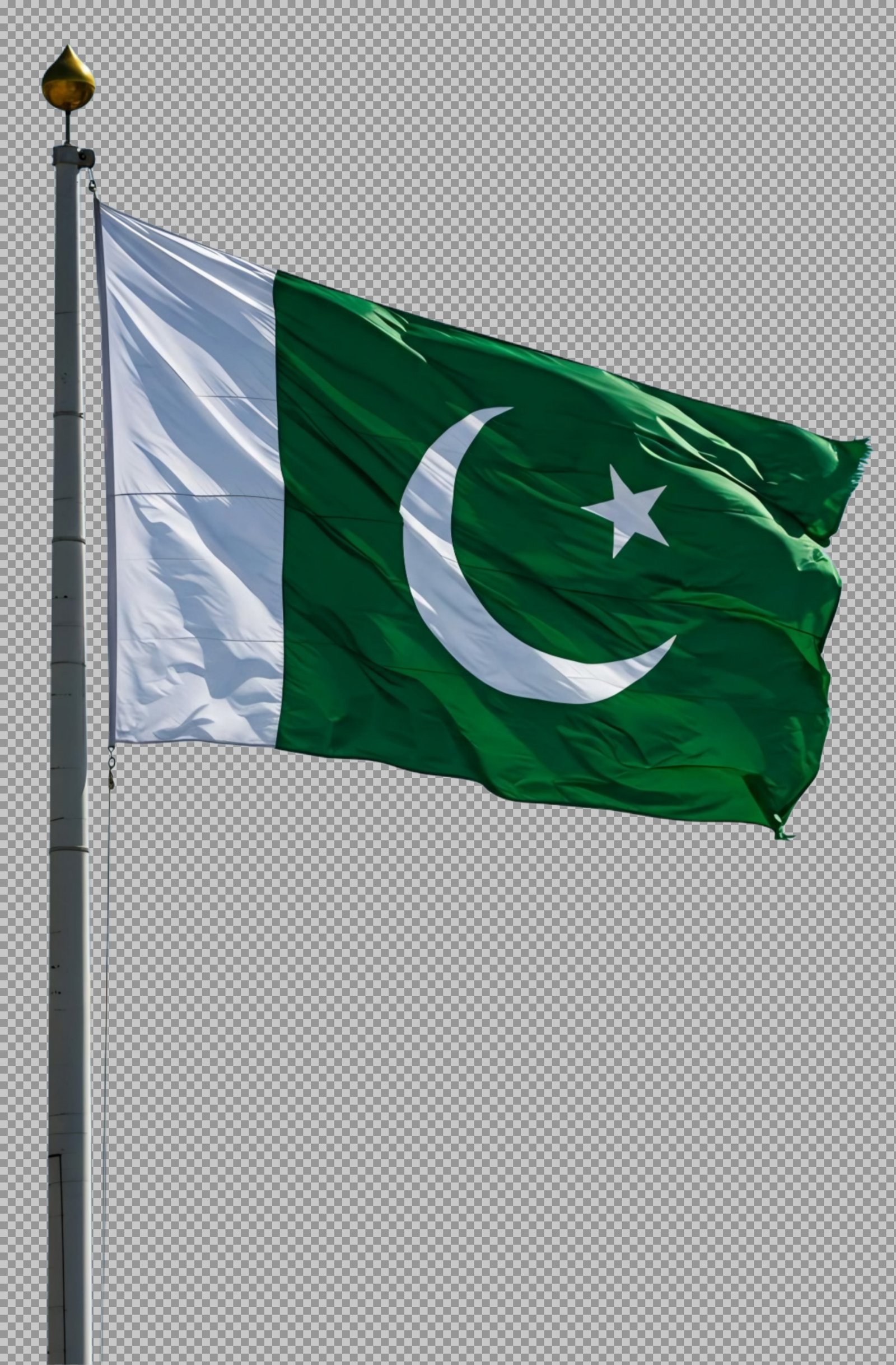 Free Pakistan flag PNG download