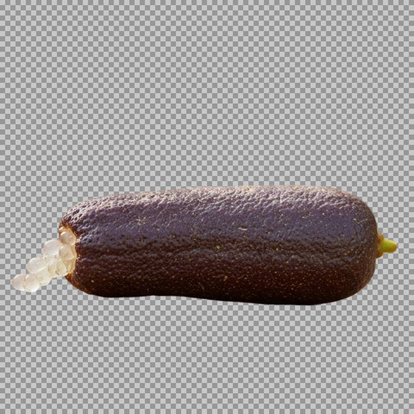 Finger Lime PNG | Transparent Citrus Caviar Image...