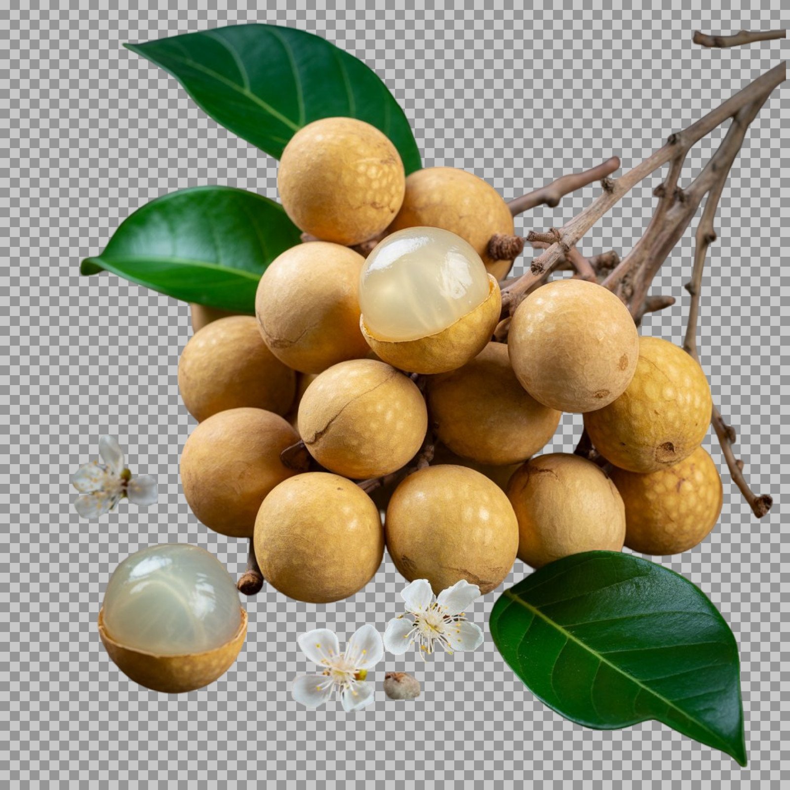Longan Fruit PNG with Leaves | Fresh Tropical Fruit Cutout...