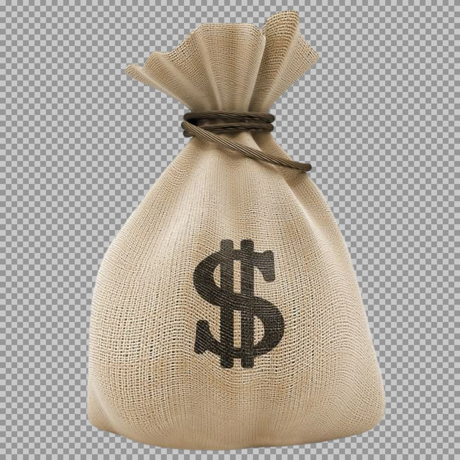 Money Bag with Dollar Sign PNG | Finance & Savings Icon