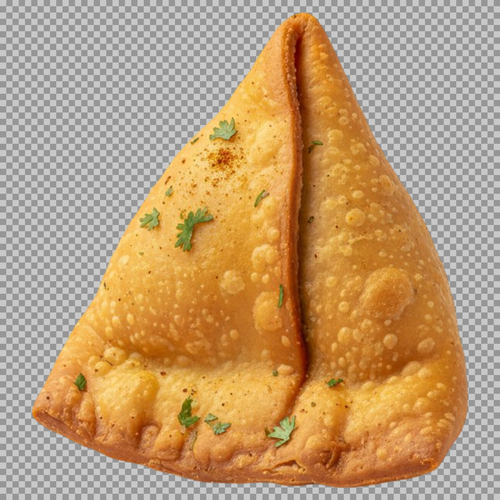 Crispy Indian Samosa PNG | Transparent Background