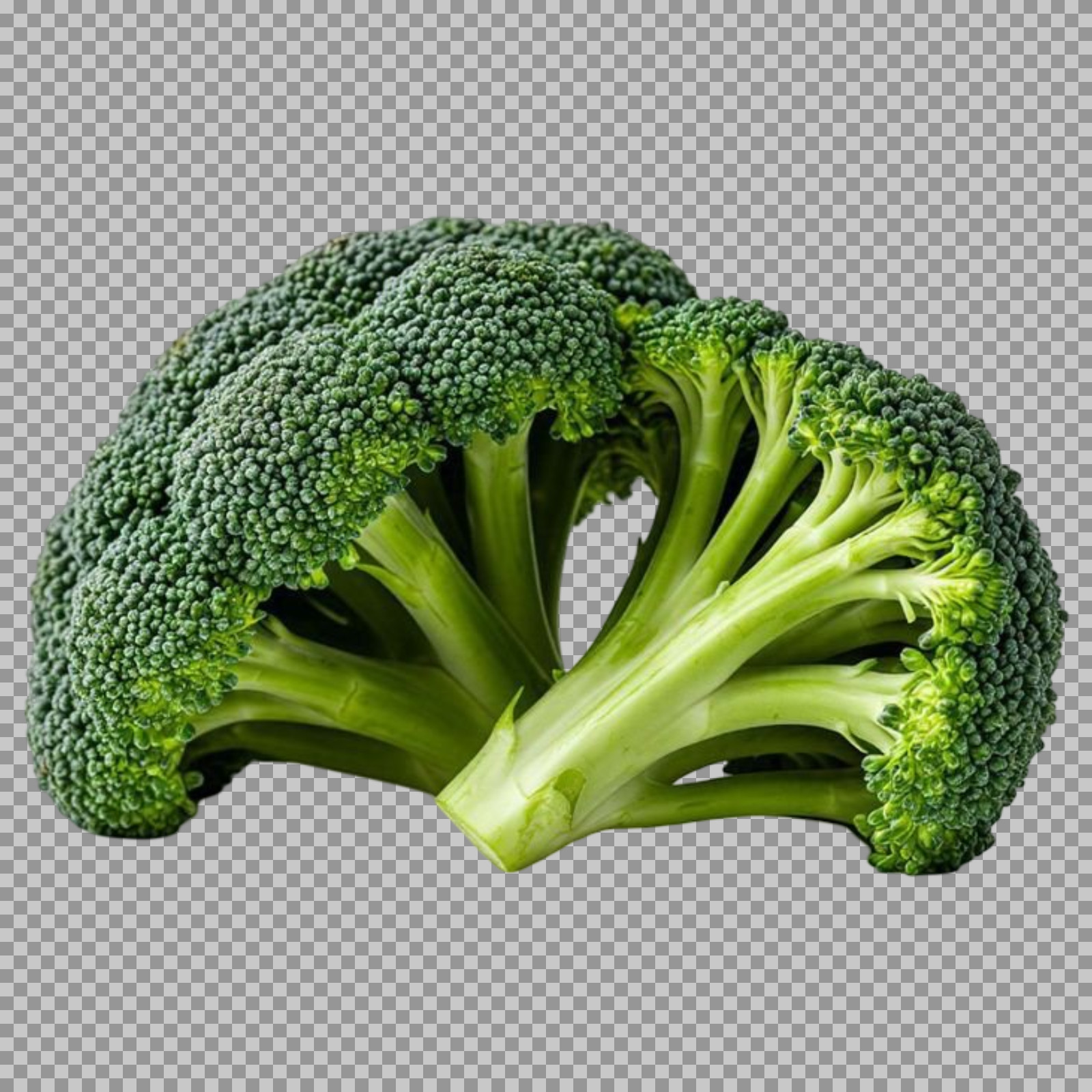 Fresh Broccoli PNG Image | Healthy Green Vegetable