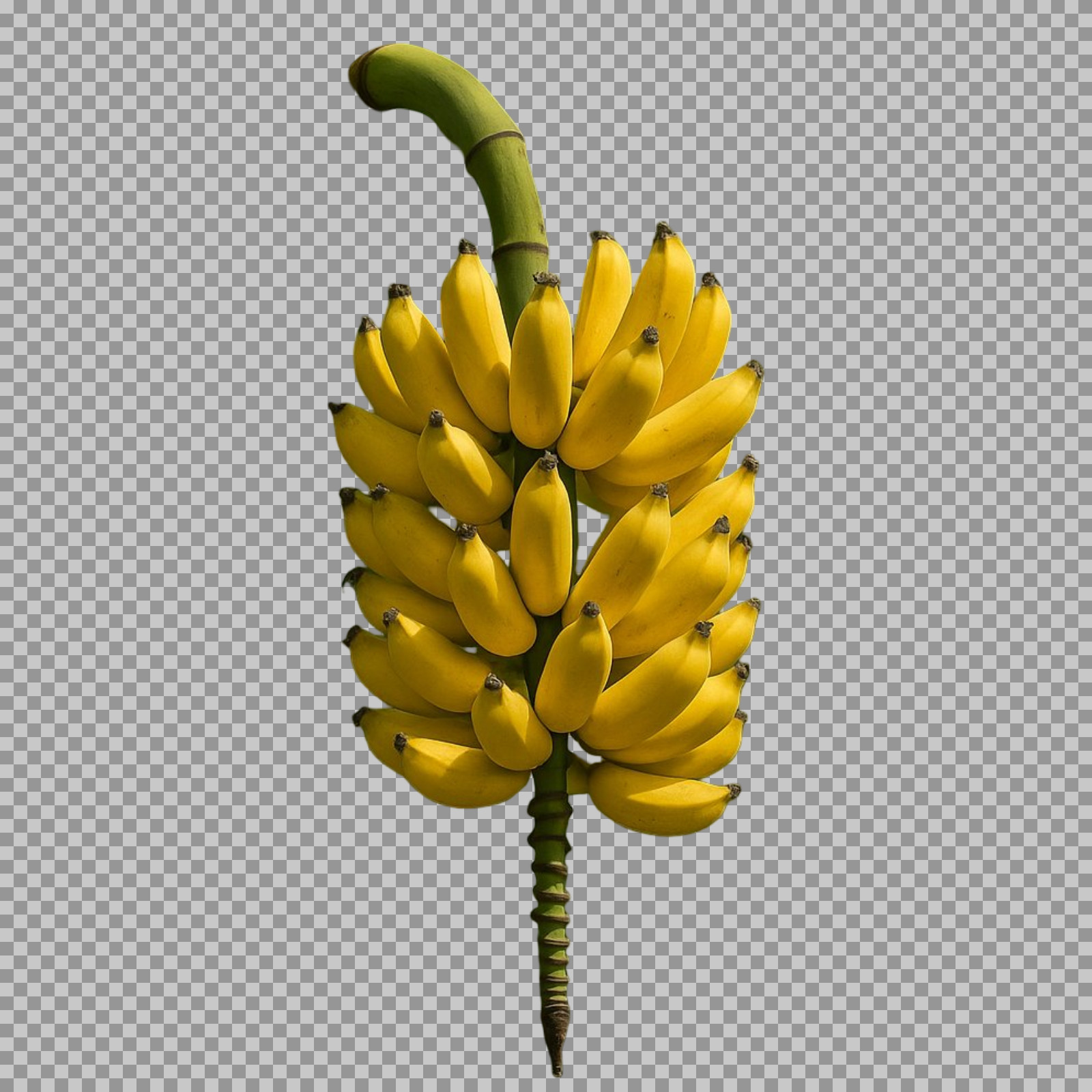 Bunch of Ripe Bananas PNG | Isolated Fruit on Transparent Background