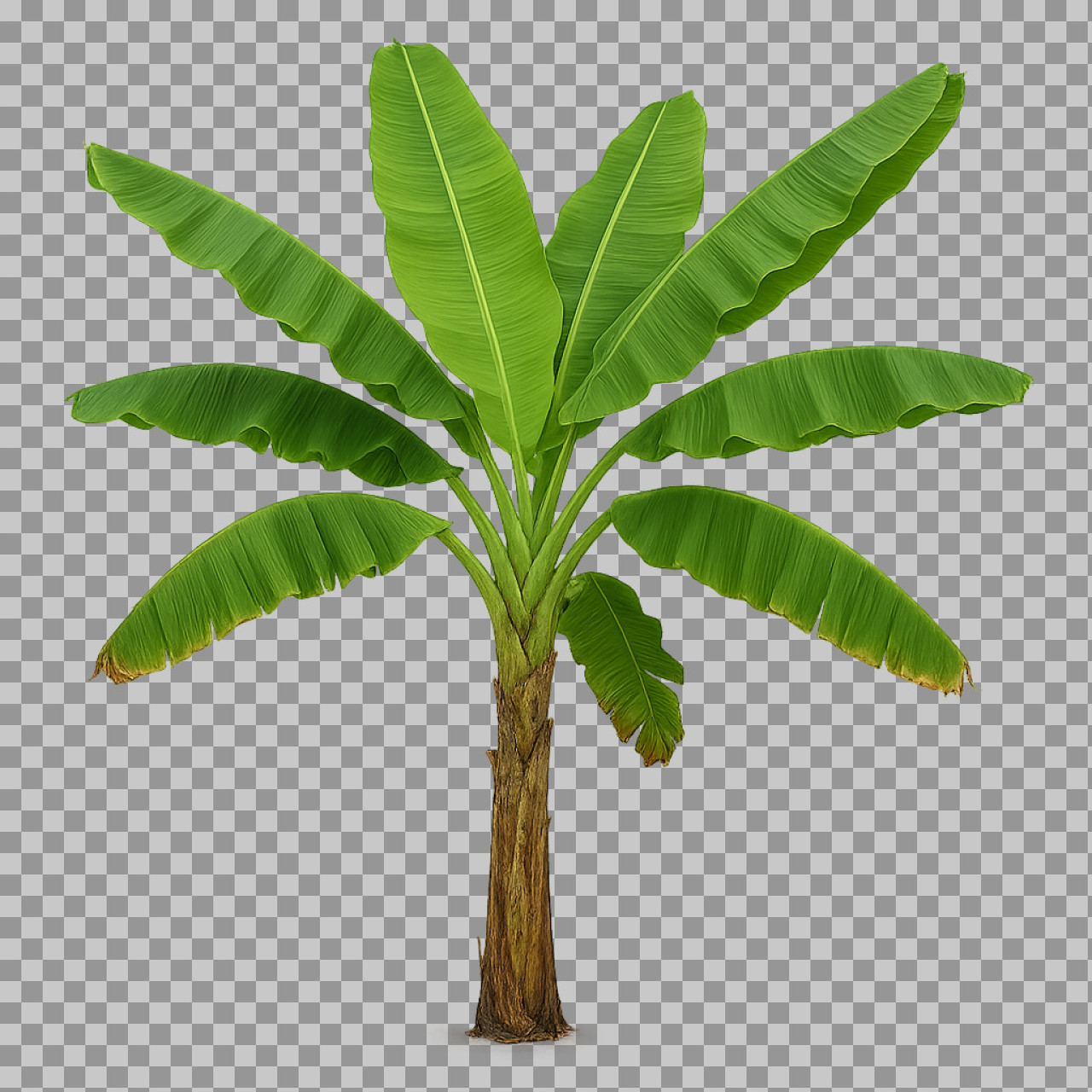 Banana Tree Illustration on Green Background | Tropical Wall Art...