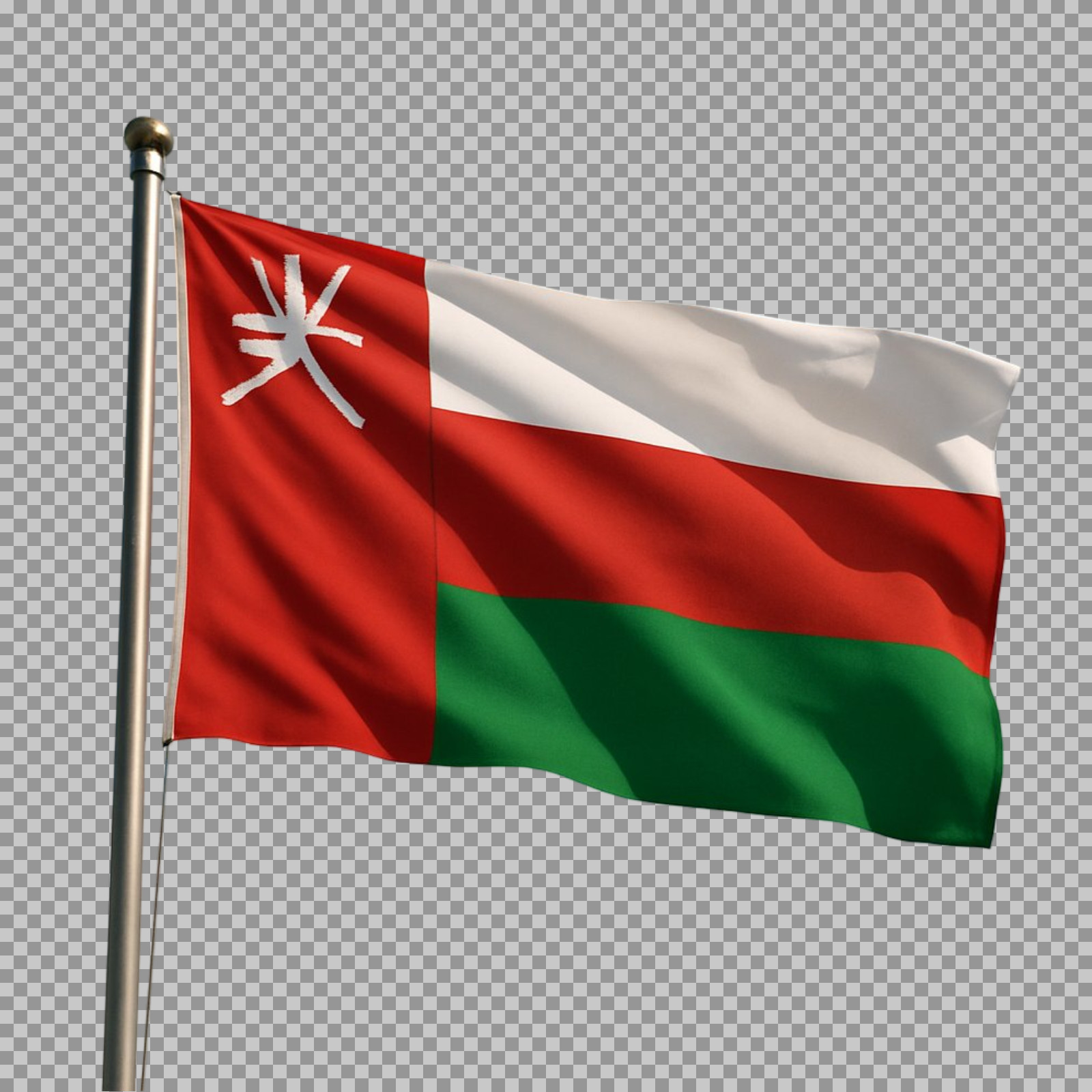 Waving Flag of Oman on Flagpole PNG image