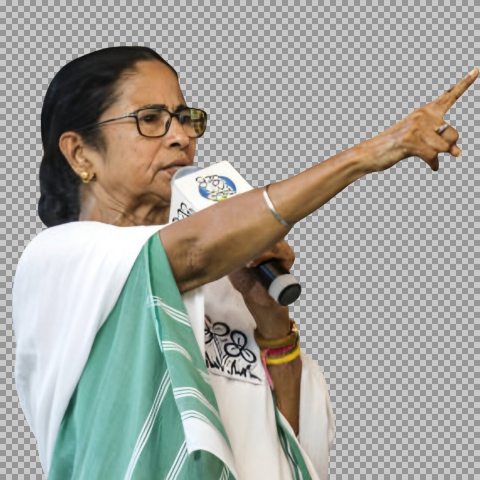 Mamata Banerjee Pointing PNG | Free Transparent Download