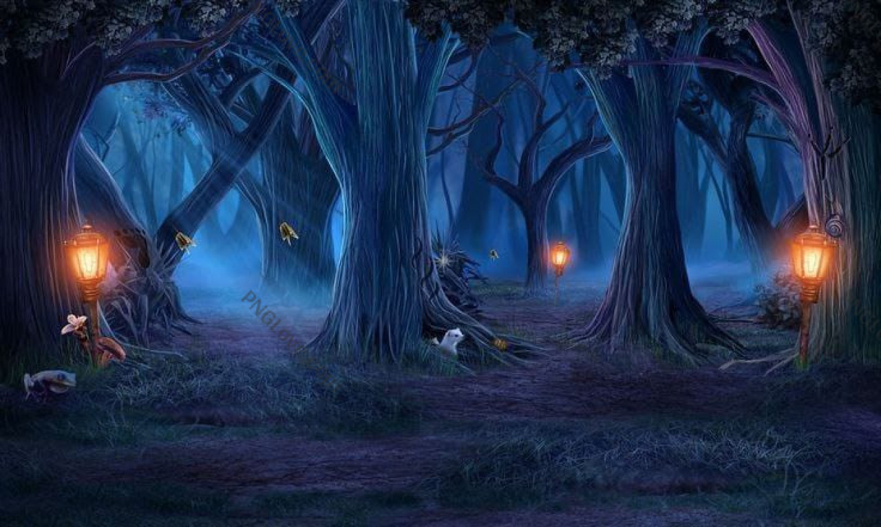 Enchanted Forest Background | Magical Woods & Lantern Path Wallpaper