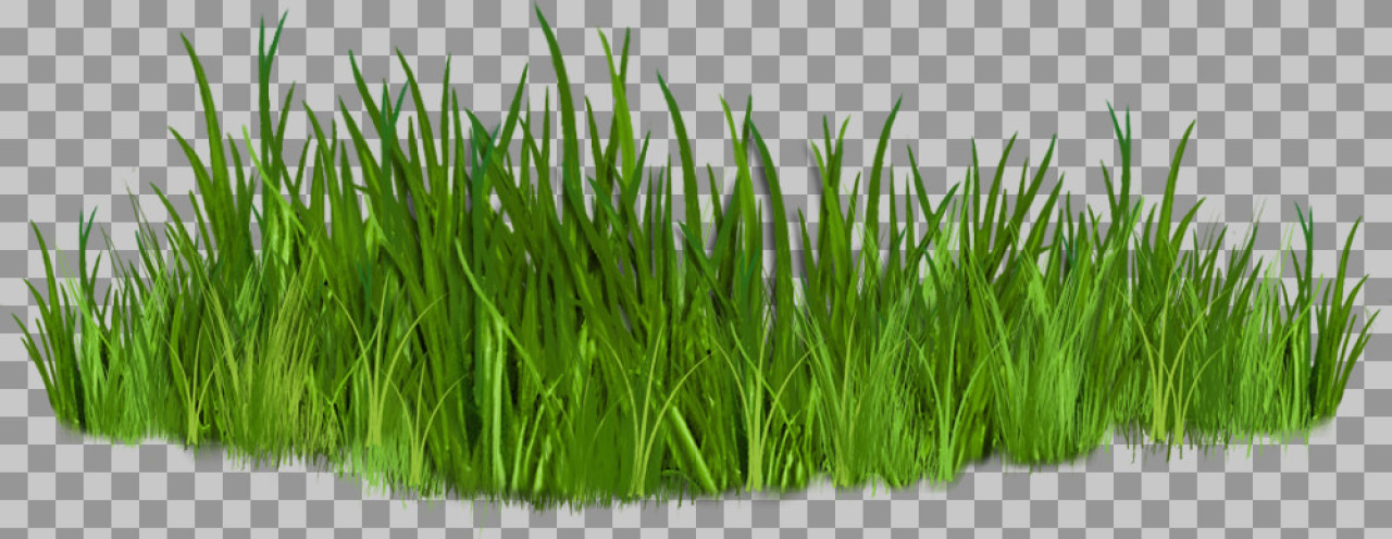 Lush Green Grass Patch PNG | Realistic Nature Cutout