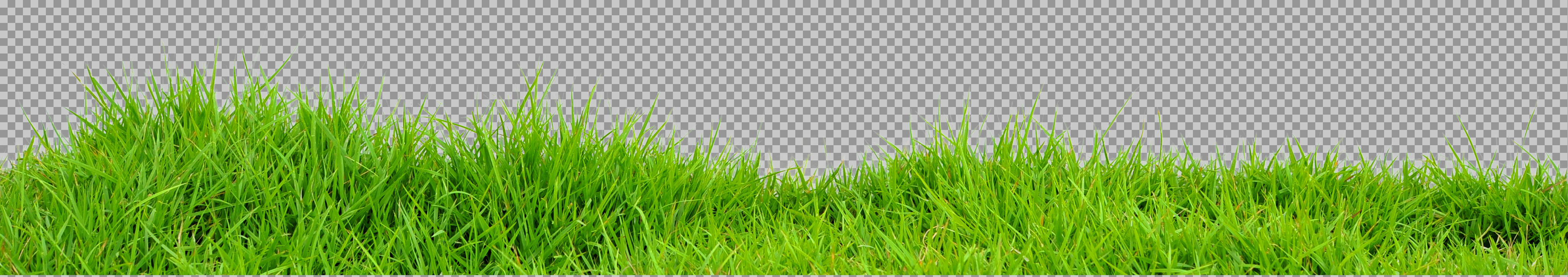 Vibrant Green Grass Border PNG transparent image