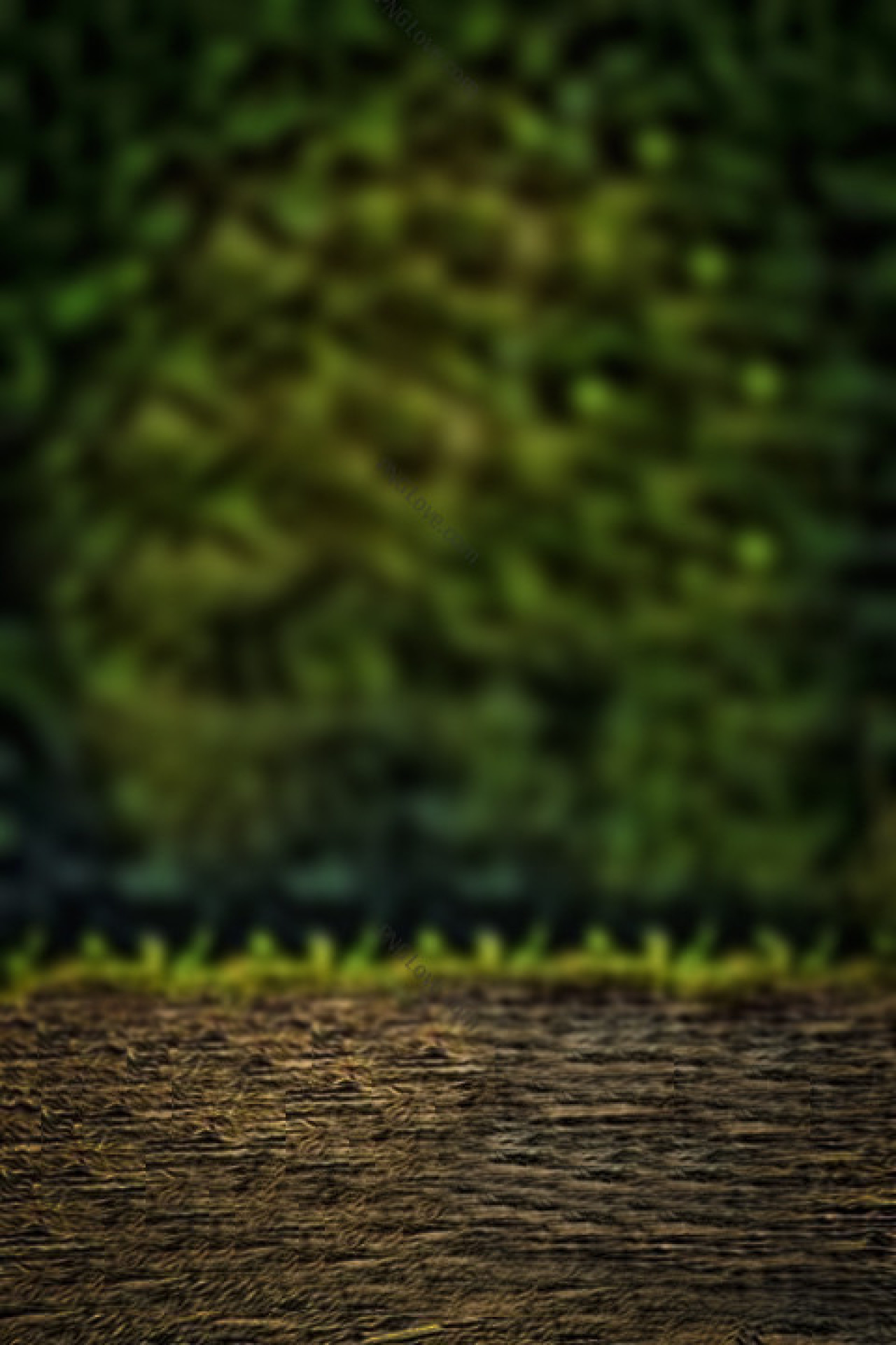 Dark Moody Editing Background | Blurred Green Forest Bokeh