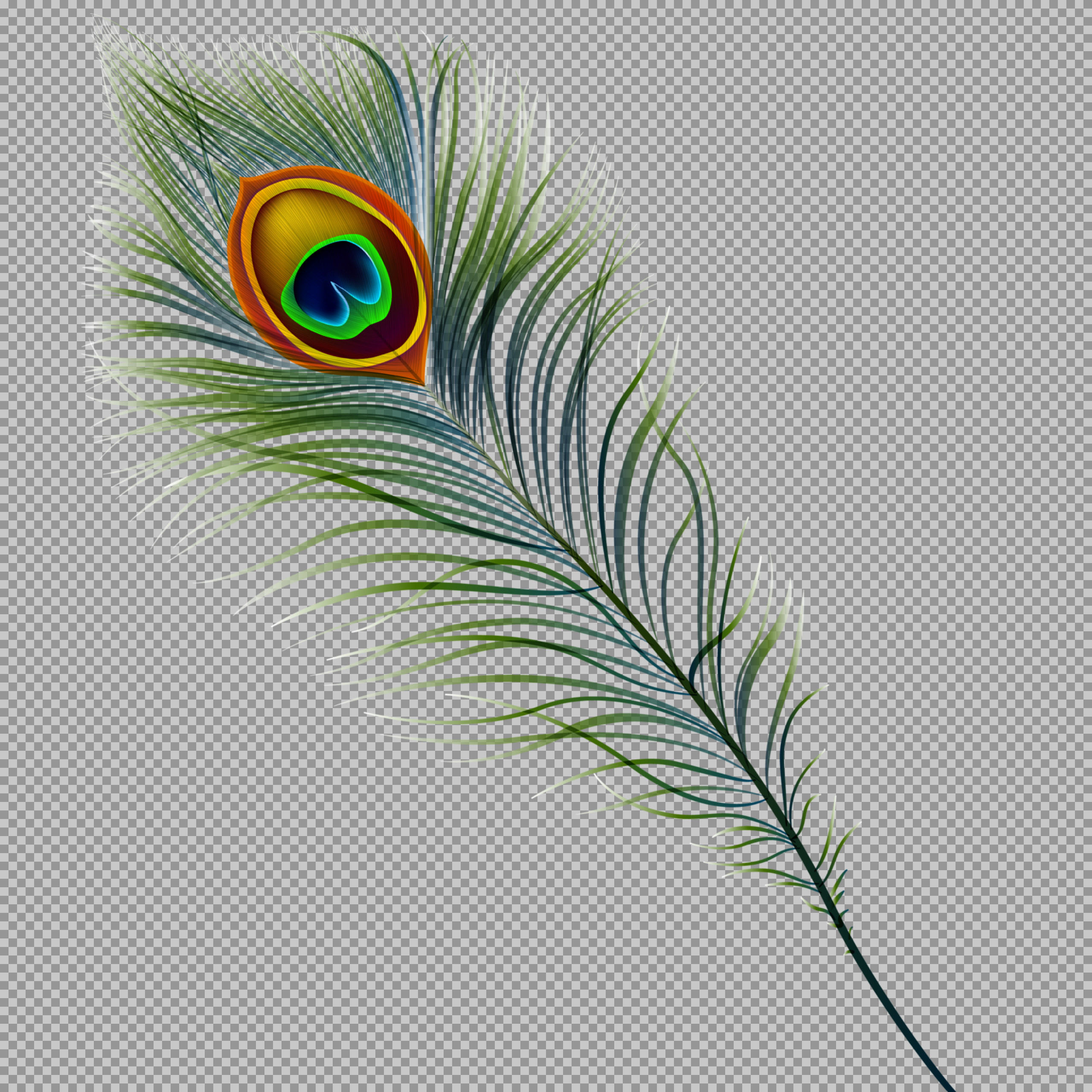 High-Quality Peacock Feather PNG | Free Digital Illustration...
