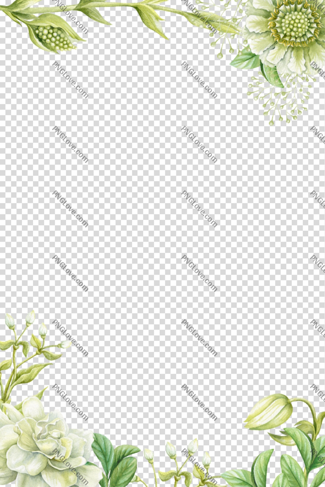 Watercolor Floral Frame PNG | Free White Flower Border Clipart