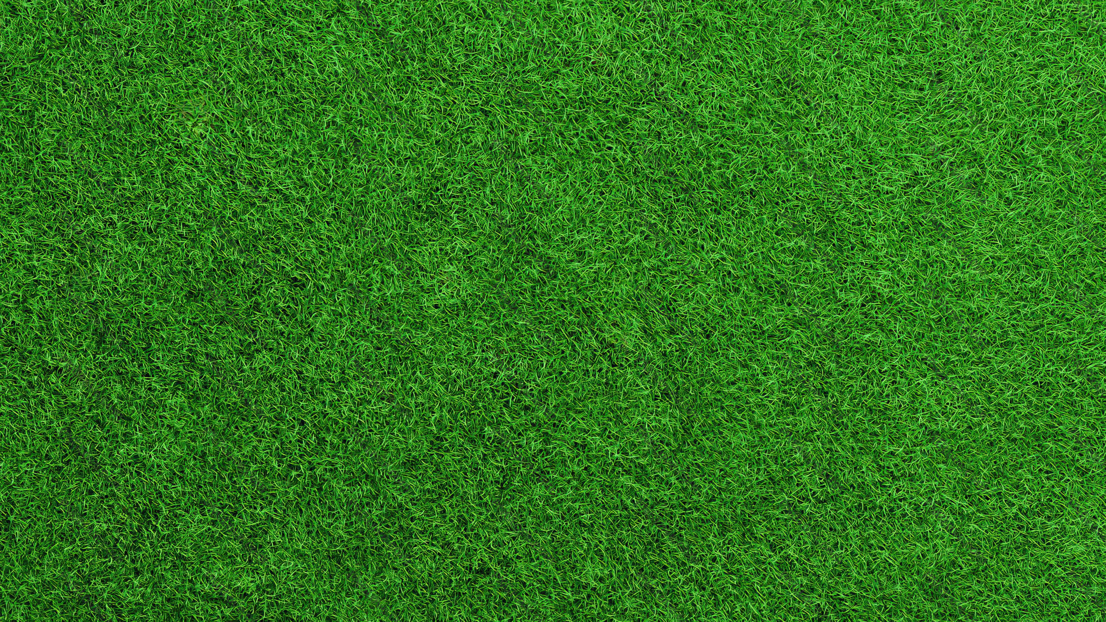 Green Grass Texture | Free Thumbnail Background