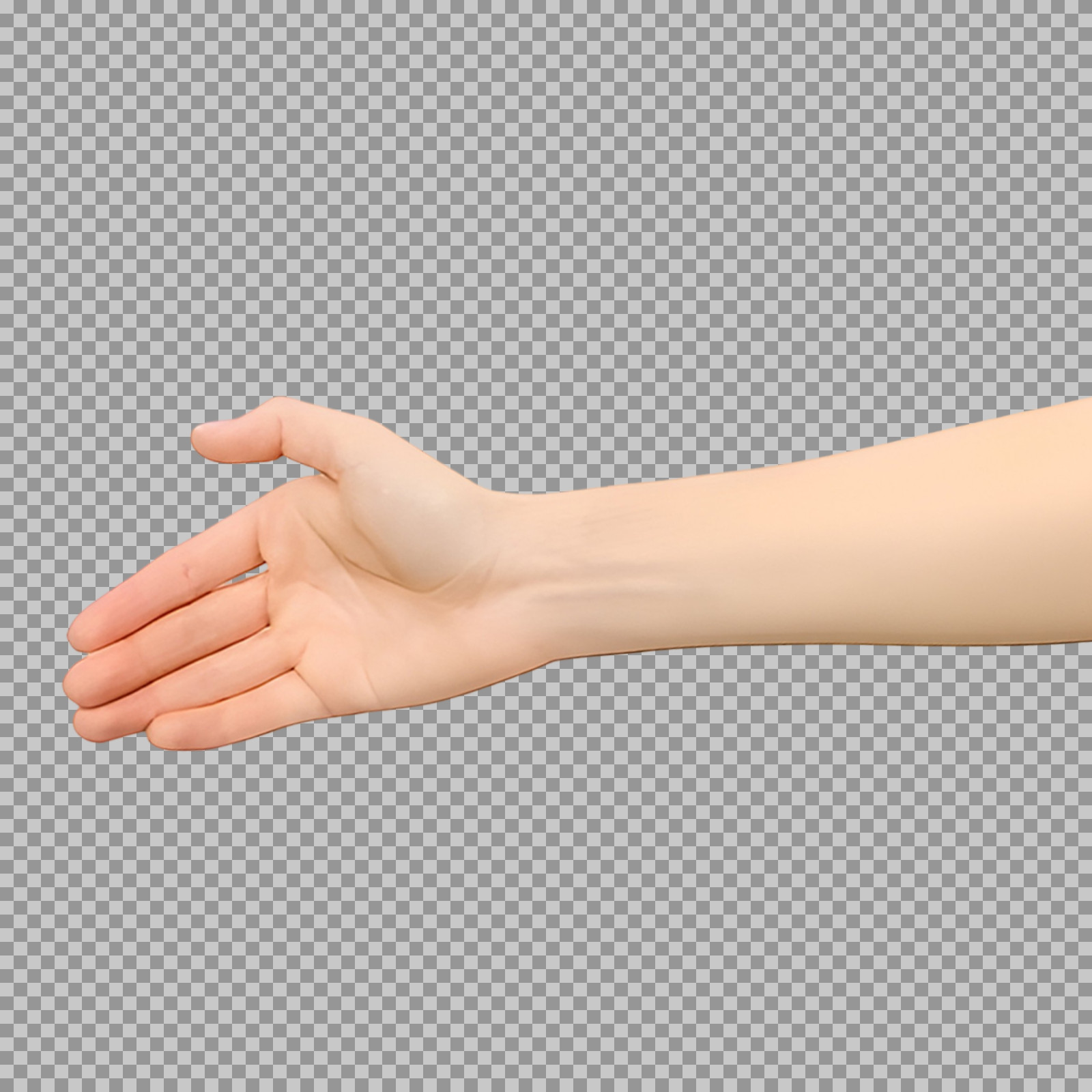 Handshake Hand PNG | Transparent Download