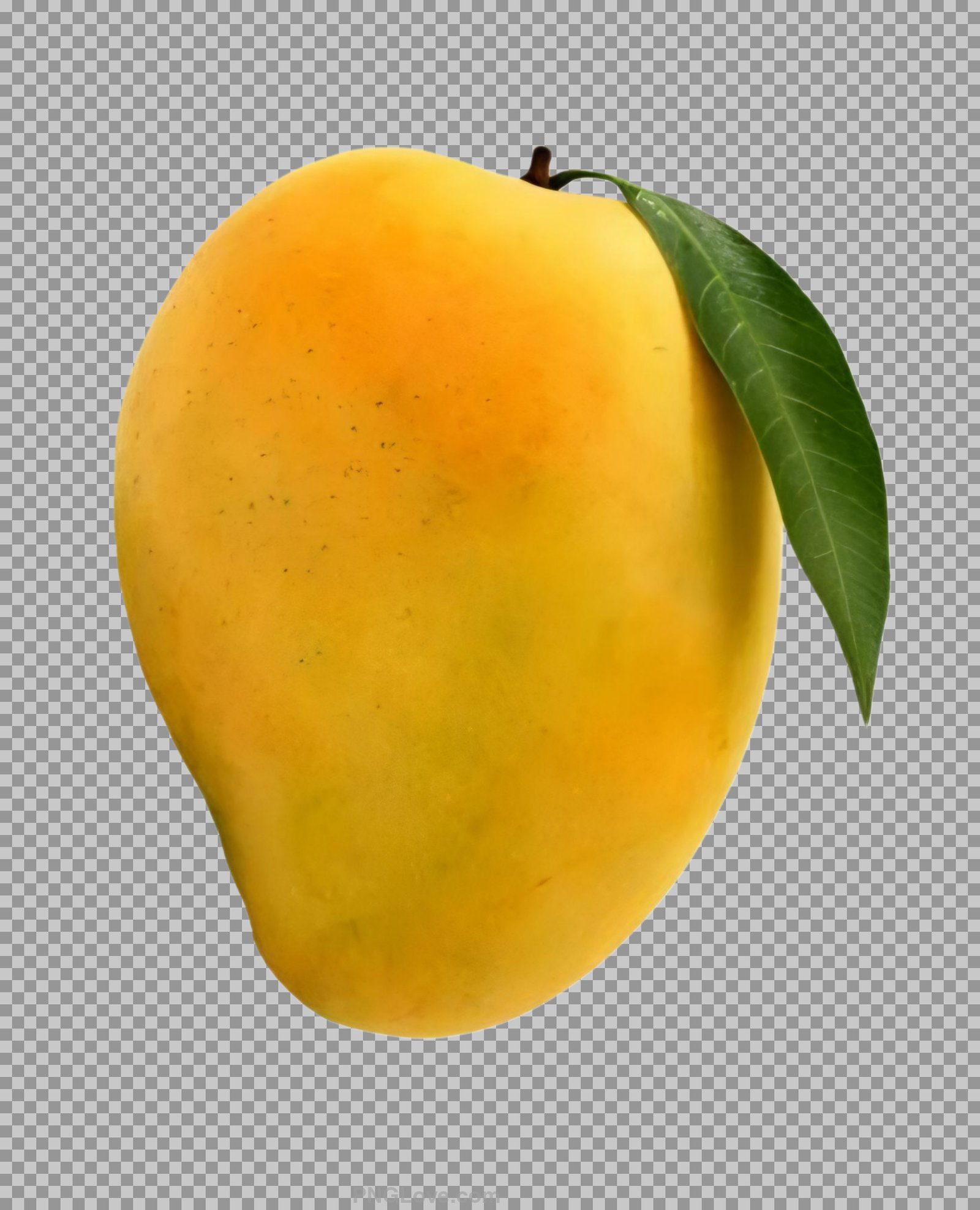 Yellow Mango PNG transparent image download