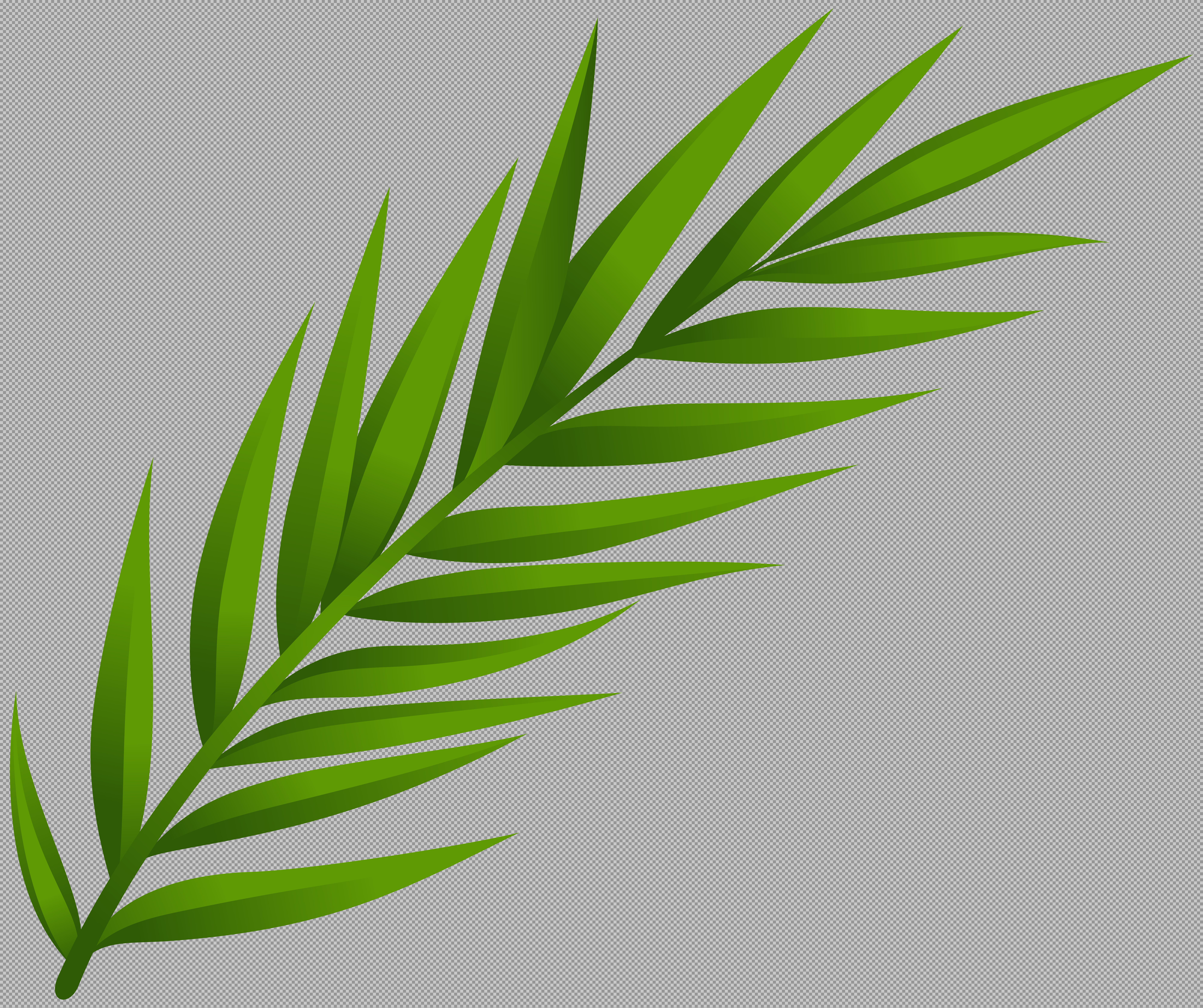 Vibrant Palm Leaf PNG | Tropical Frond Illustration