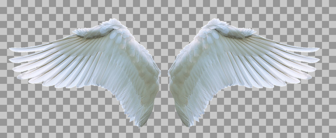 Realistic White Angel Wings PNG | Free Transparent Download