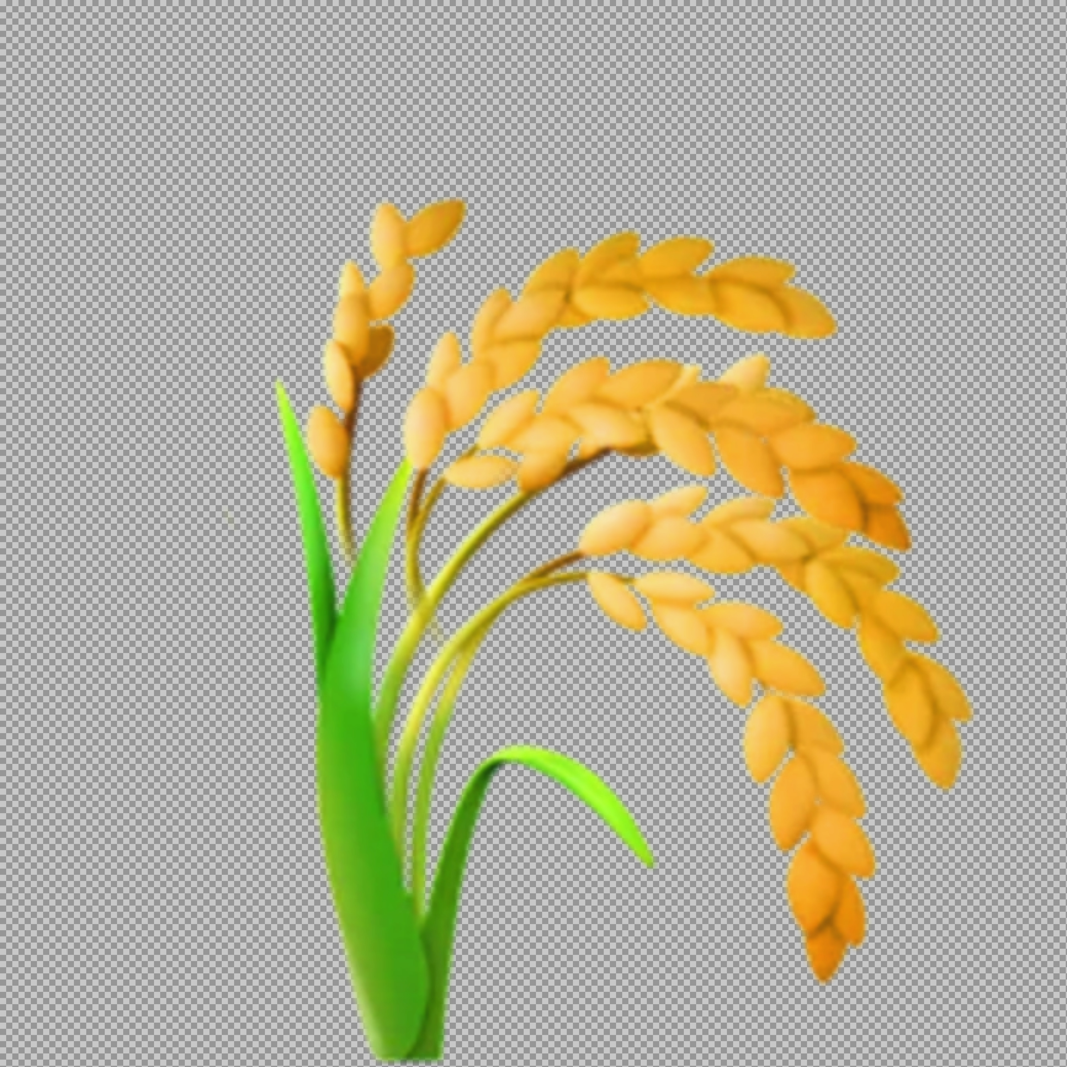 Sheaf of Rice Emoji PNG | Golden Paddy Plant Illustration