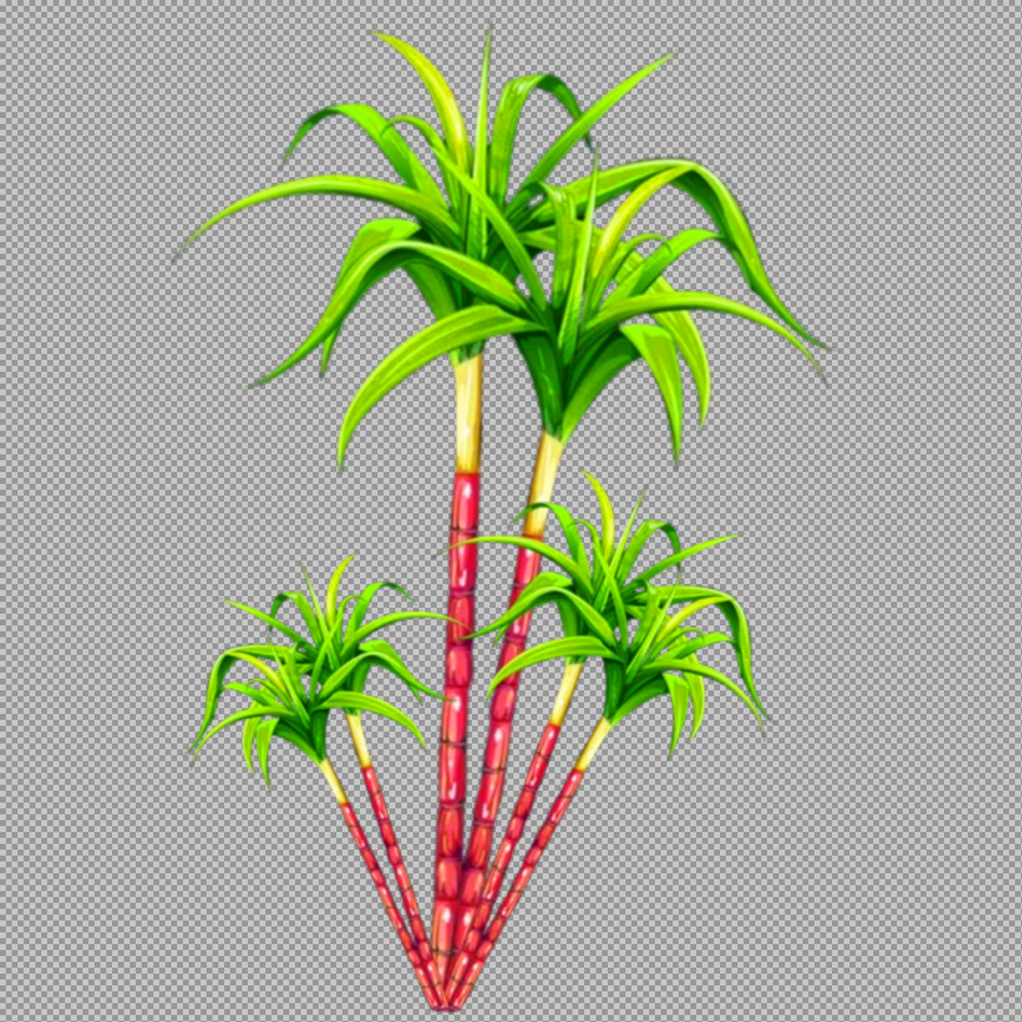 Red Sugarcane Plant PNG | Harvest Festival & Agriculture Illustration