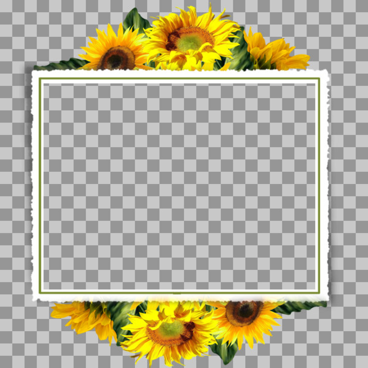 Sunflower Frame PNG | Free Transparent Floral Border