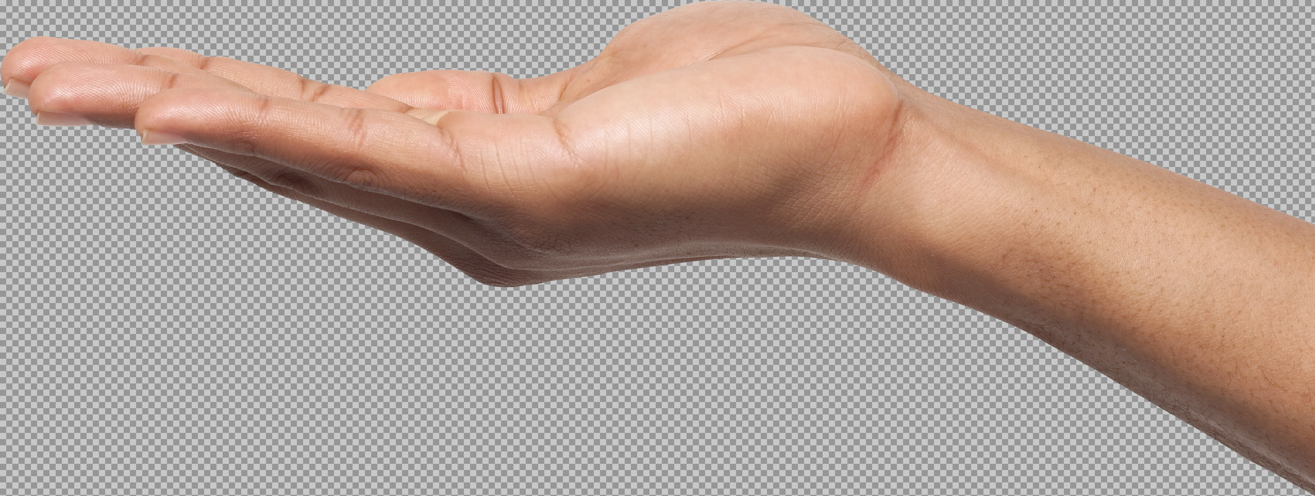 Free Open Hand PNG | Realistic Cupped Hand Graphic...