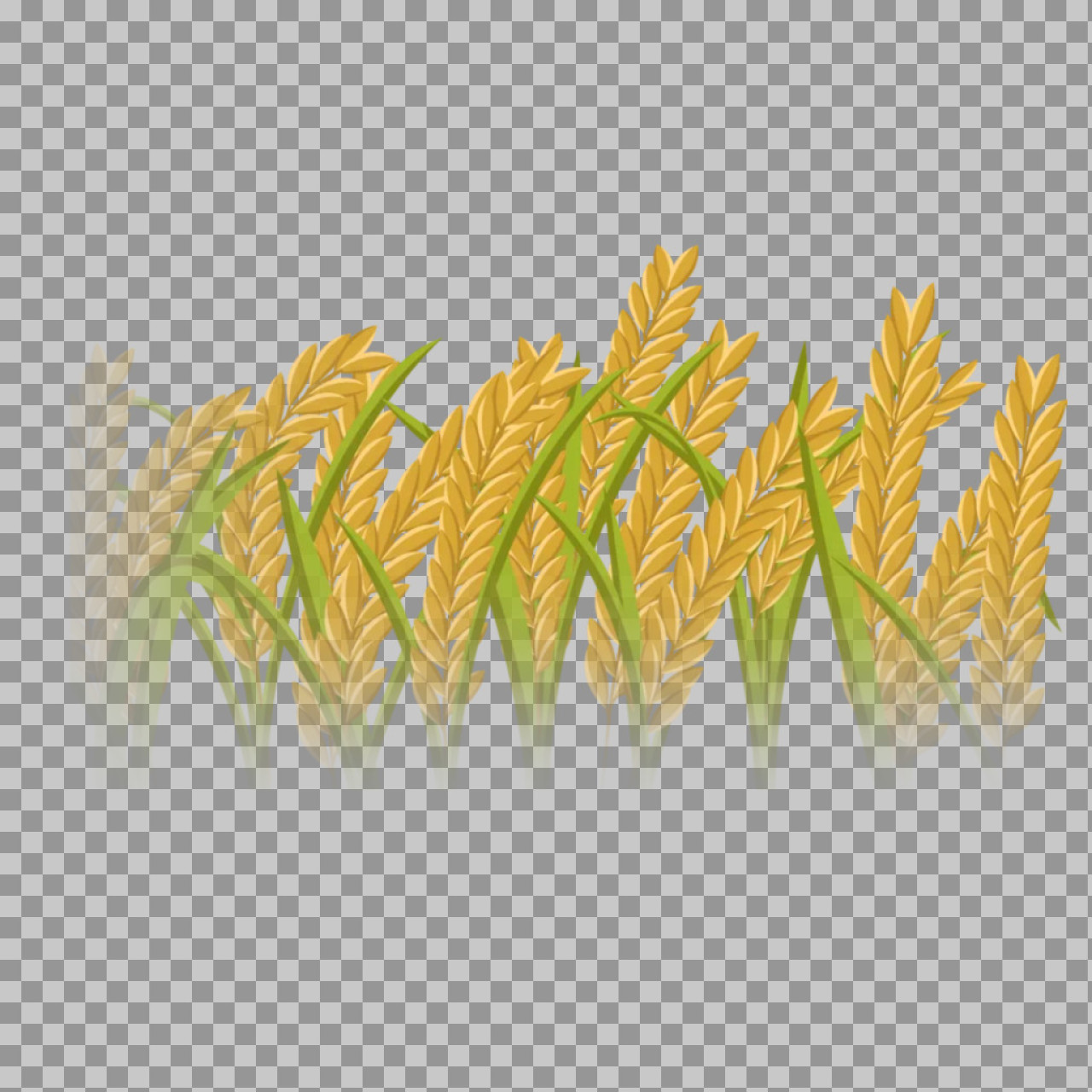 Golden Rice Plant Illustration | Free PNG Clip Art...
