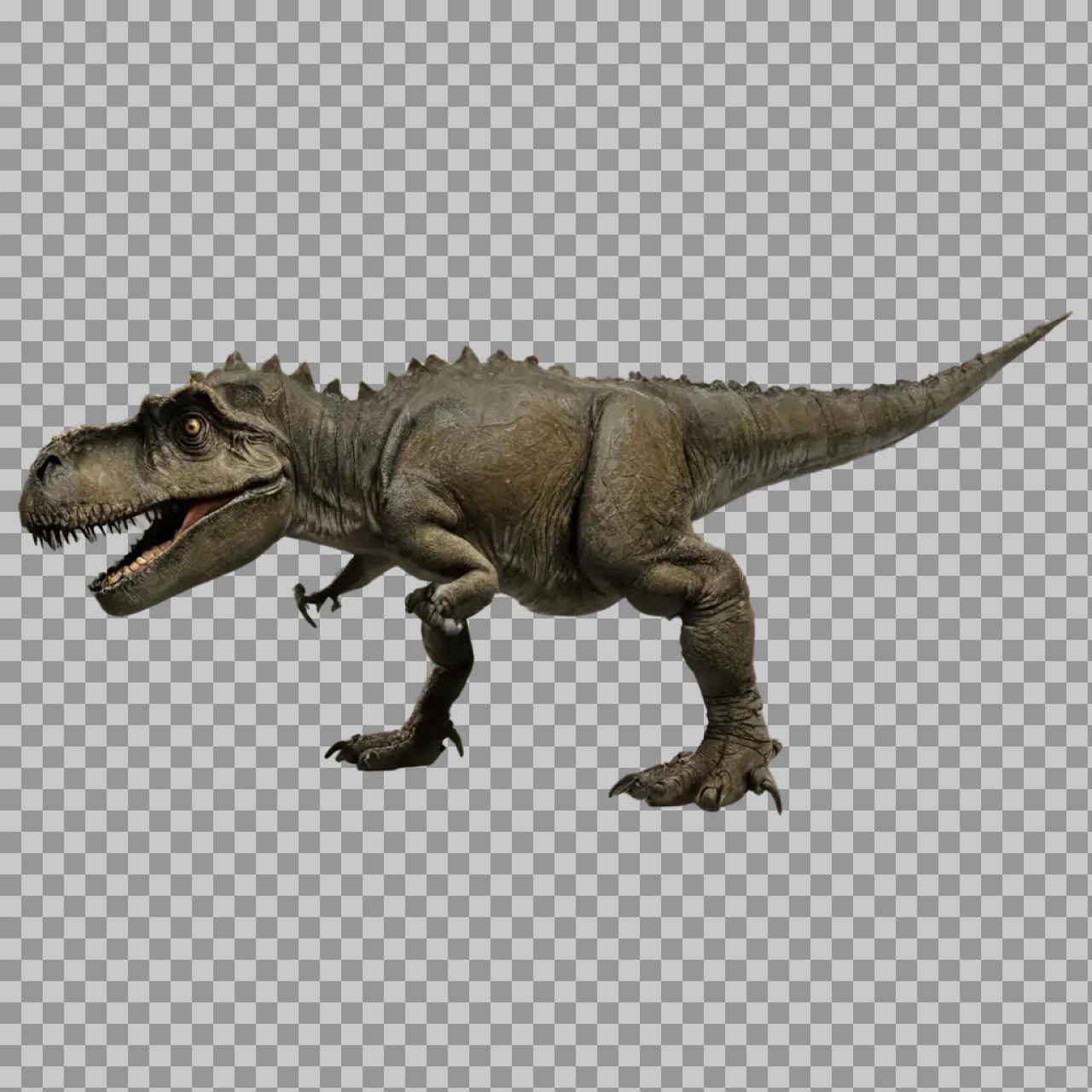 Realistic T-Rex PNG | Free Dinosaur Stock Image...
