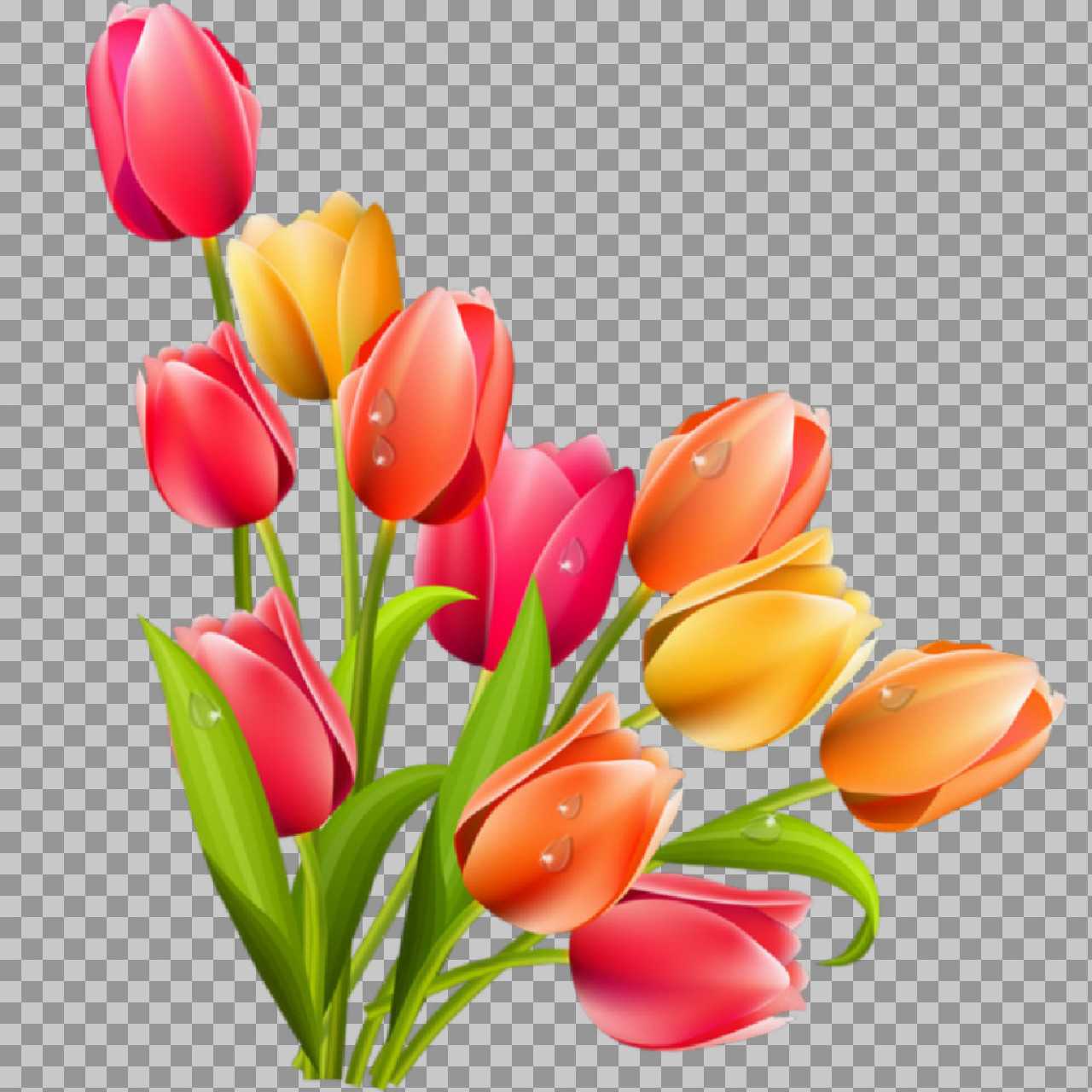 Tulip Bouquet PNG | Colorful Floral Clip Art