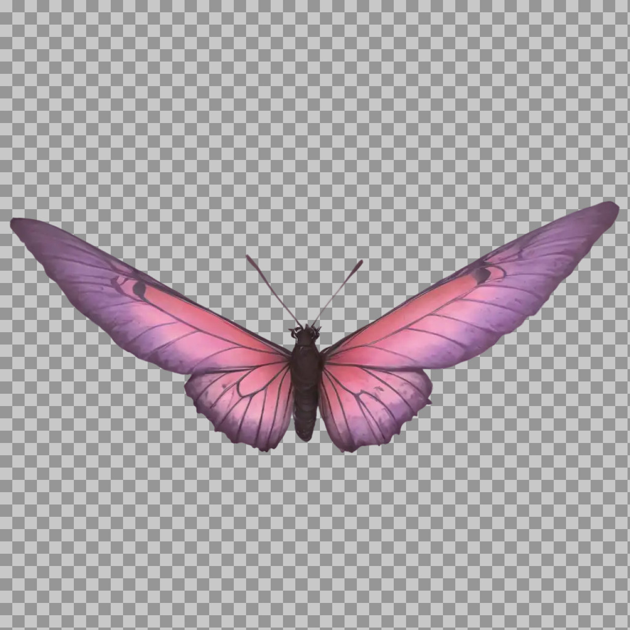 Pink Butterfly PNG | Elegant Transparent Insect Illustration...