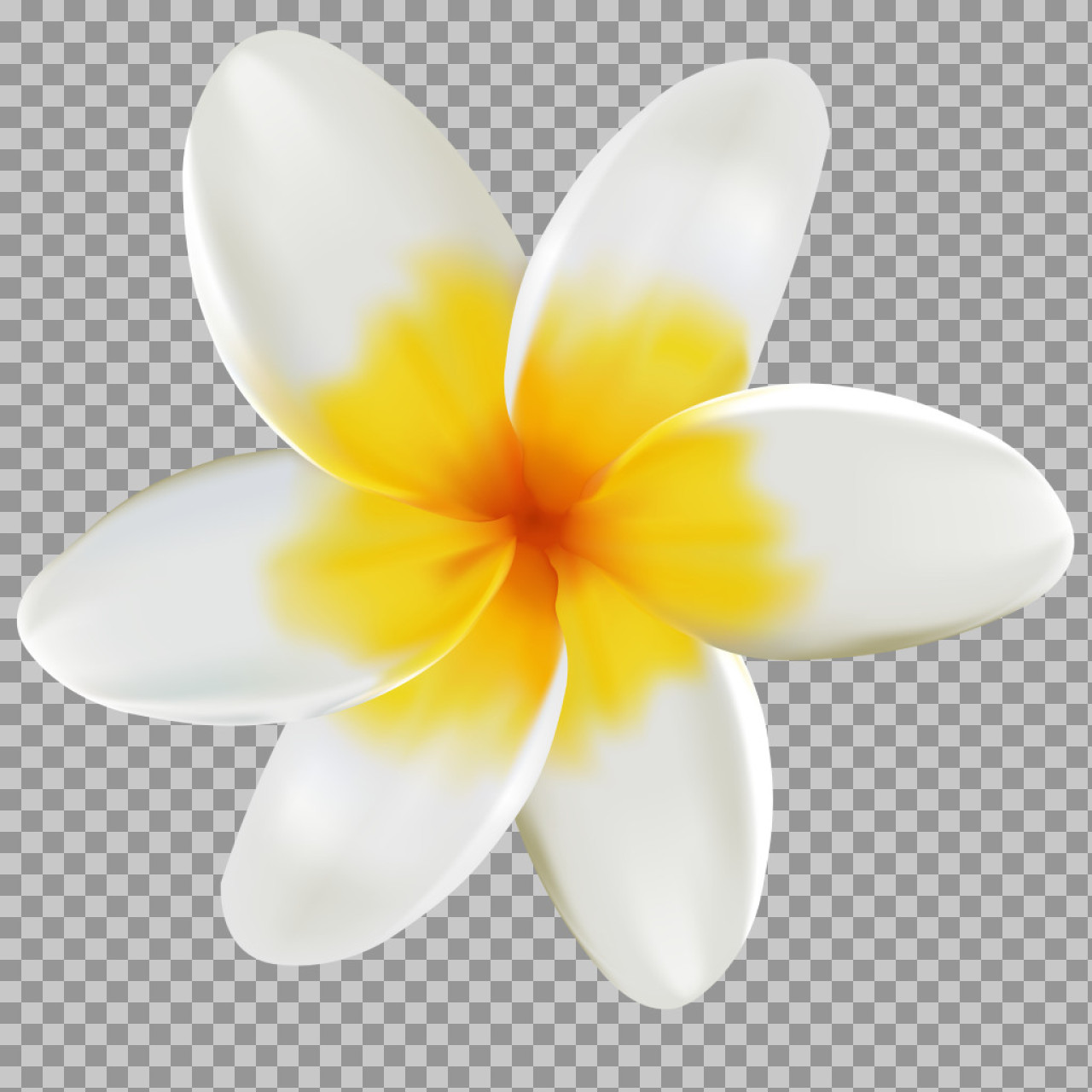 Plumeria (Frangipani) Flower PNG | Isolated Tropical Illustration...