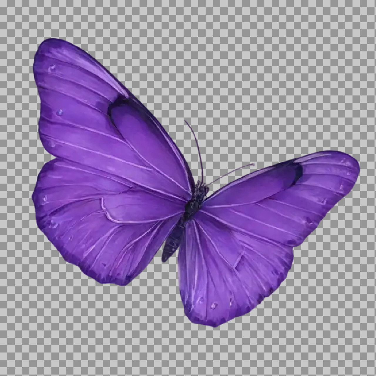 Elegant Purple Butterfly PNG | Isolated Illustration