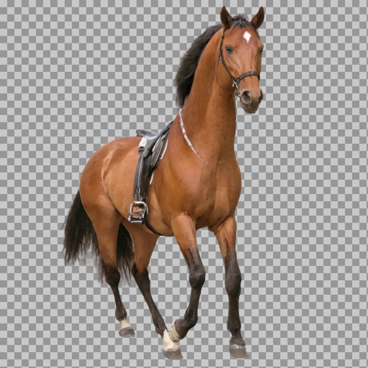 Running Brown Horse PNG | Isolated Equestrian Image