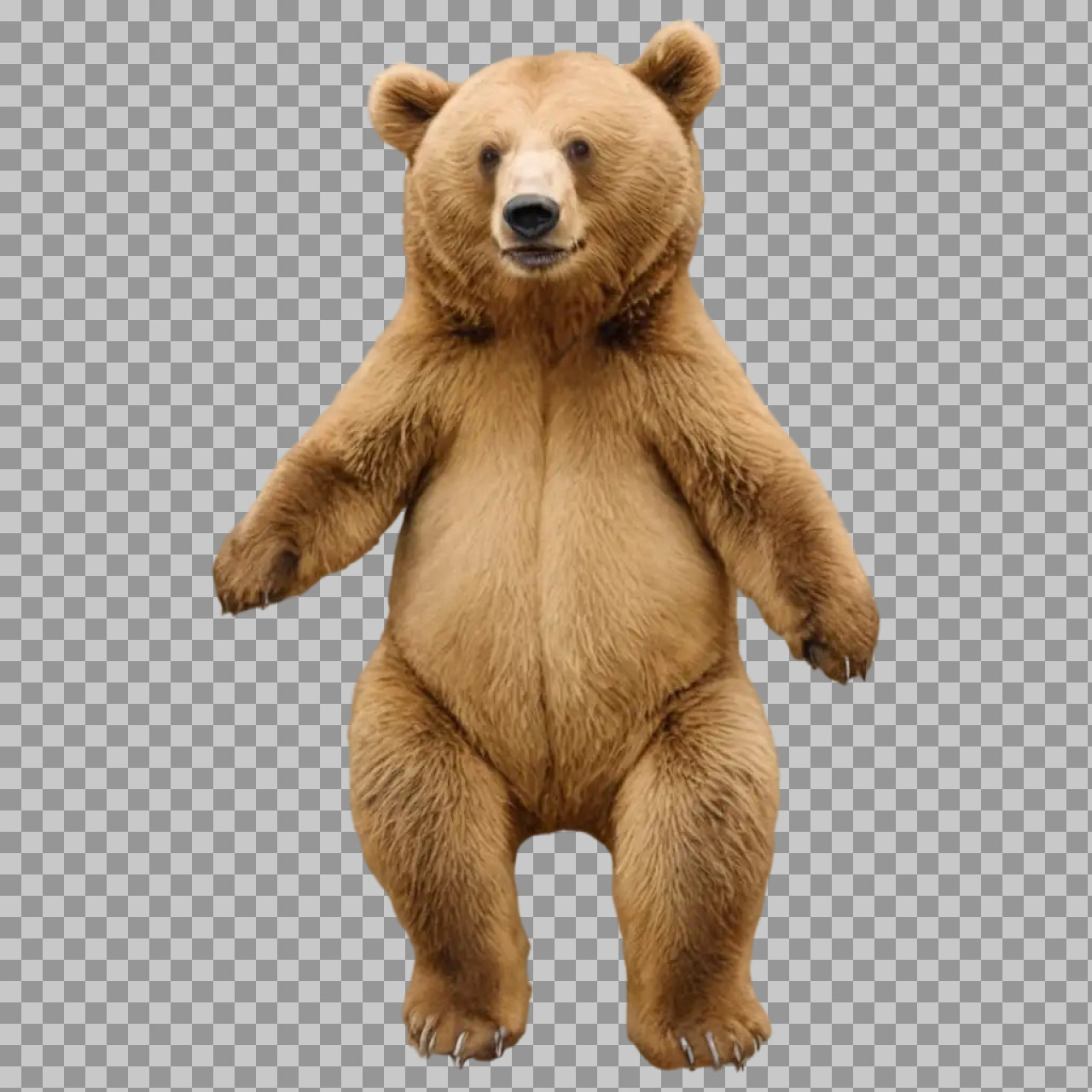 Brown Bear Standing PNG | Isolated Wildlife Image...
