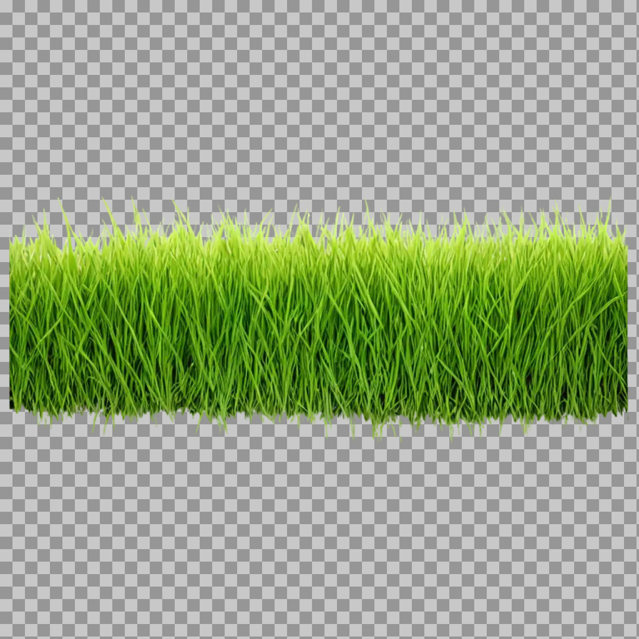 Green Grass Border PNG Transparent Background – Realistic Lawn Grass Image