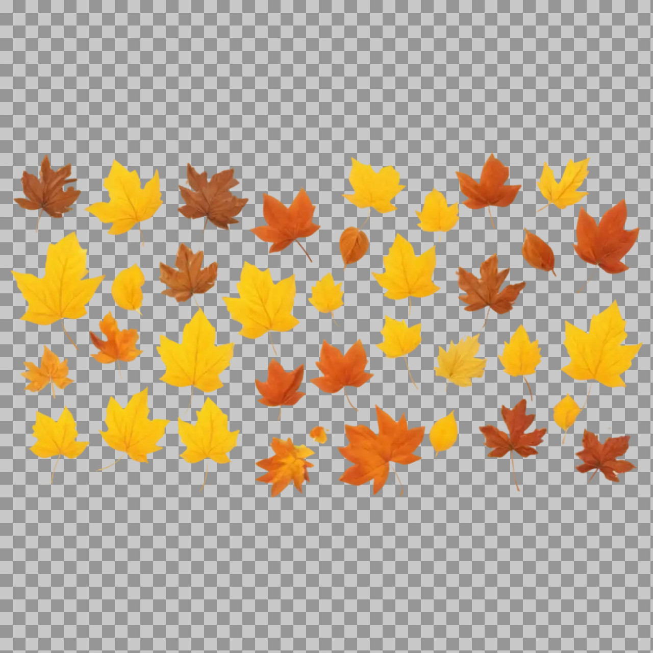 Autumn Maple Leaves PNG – Fall Foliage Collection