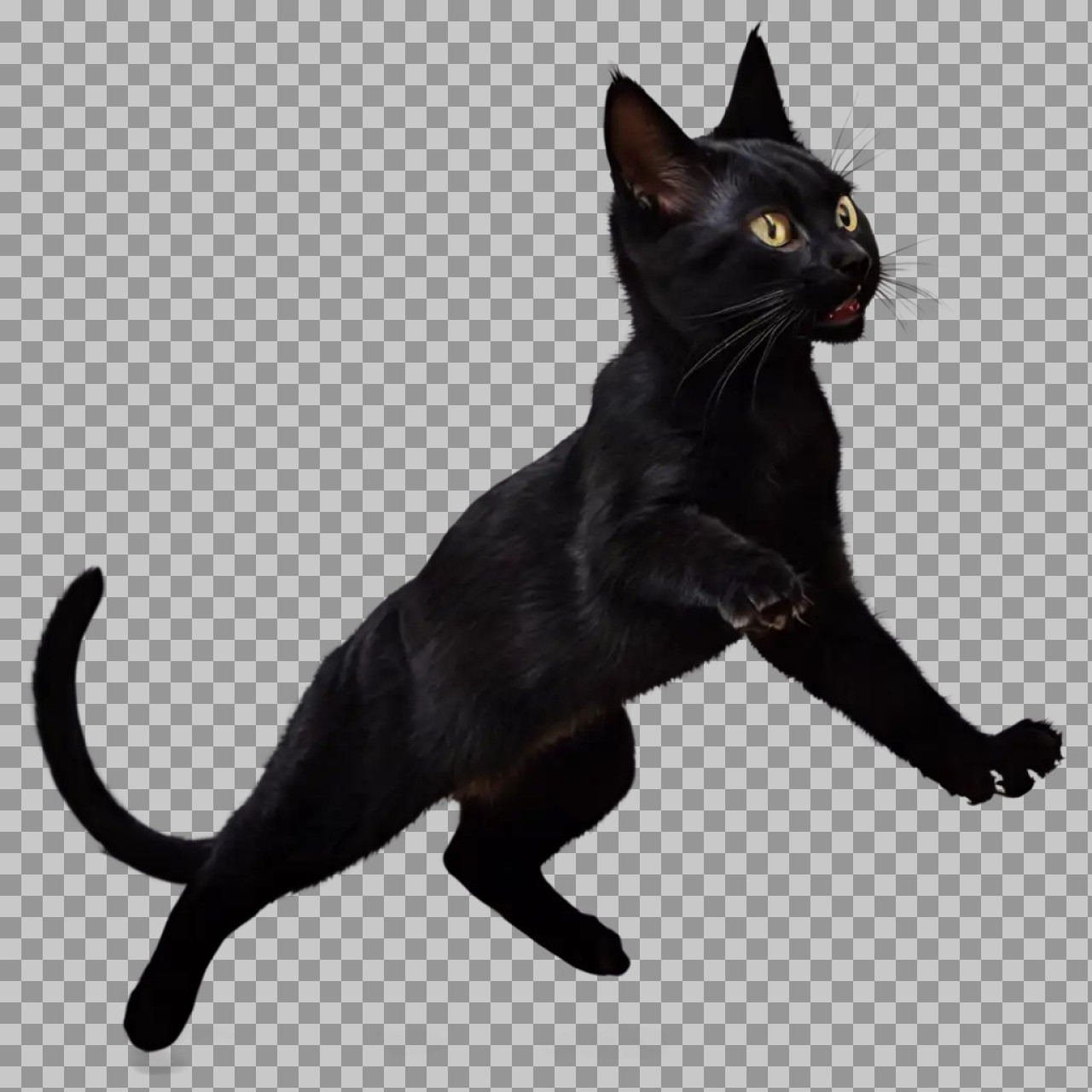 Black Cat PNG Transparent Background | High-Quality Cat Image...