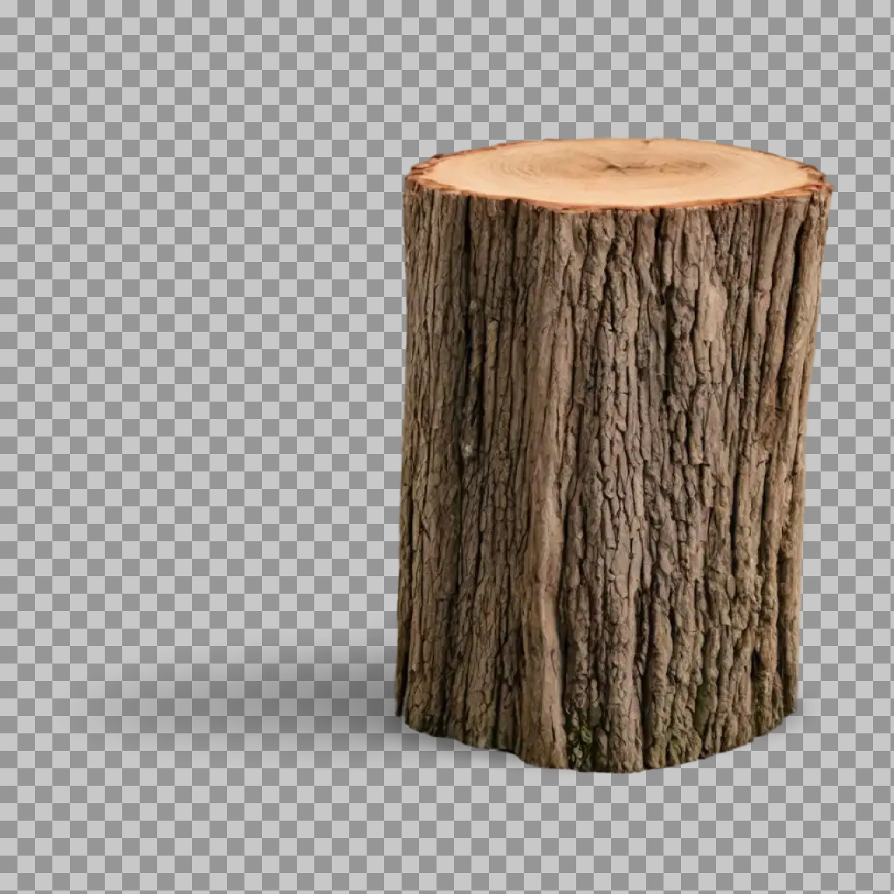 Tree Log Trunk PNG – Cut Wood Stump Isolated Transparent Background...
