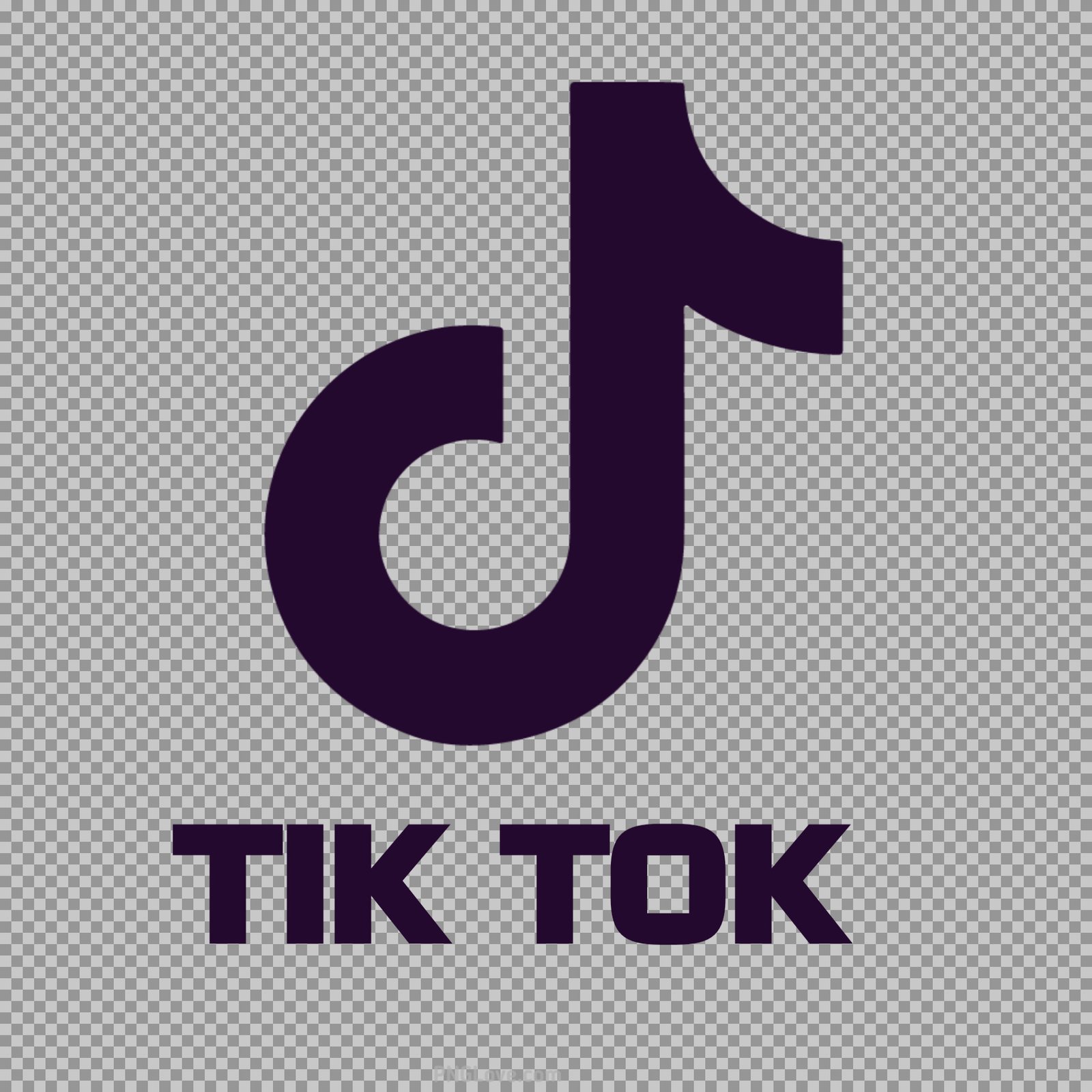 Tik Tok icon logo PNG image...