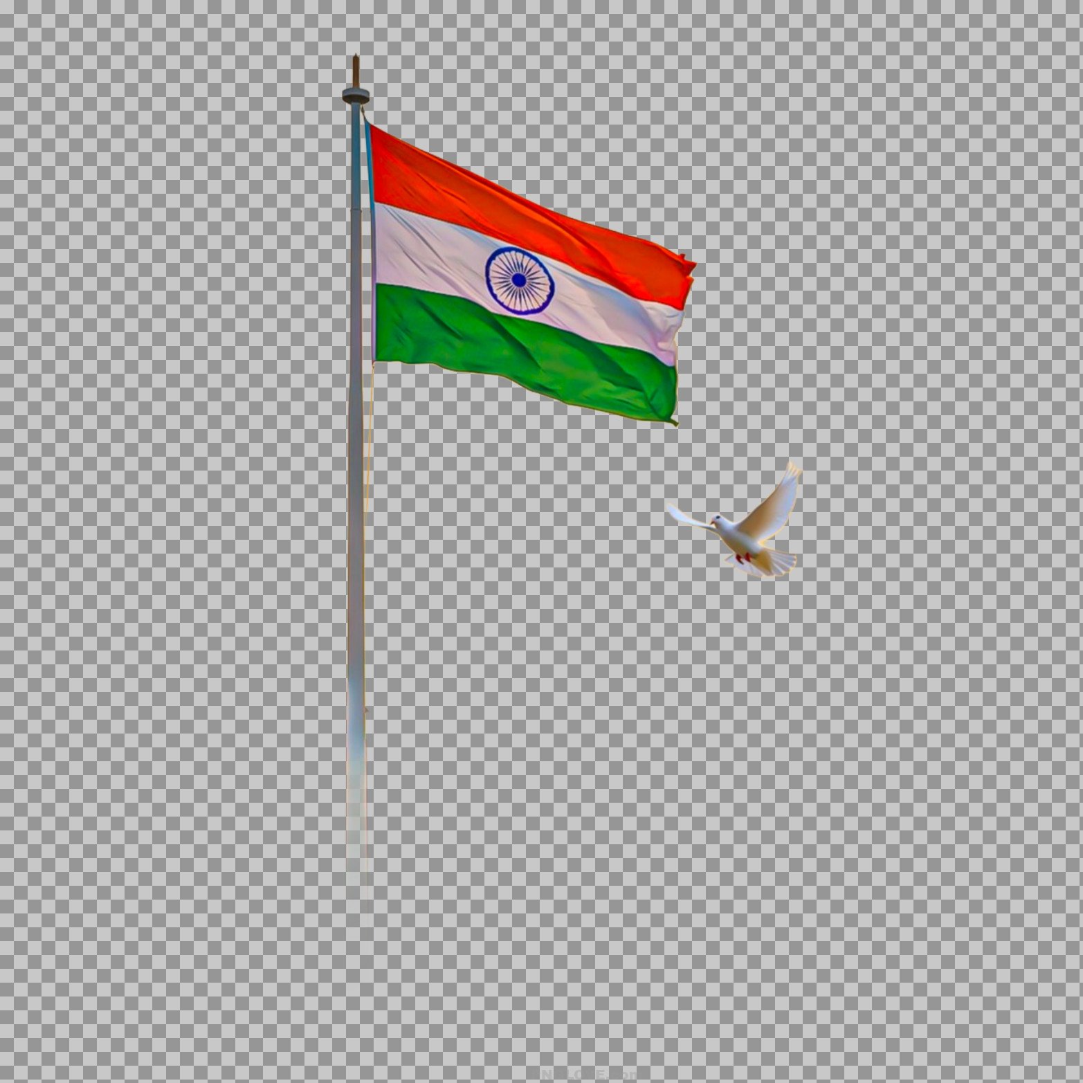 Indian National Flag with Flying Dove PNG image download