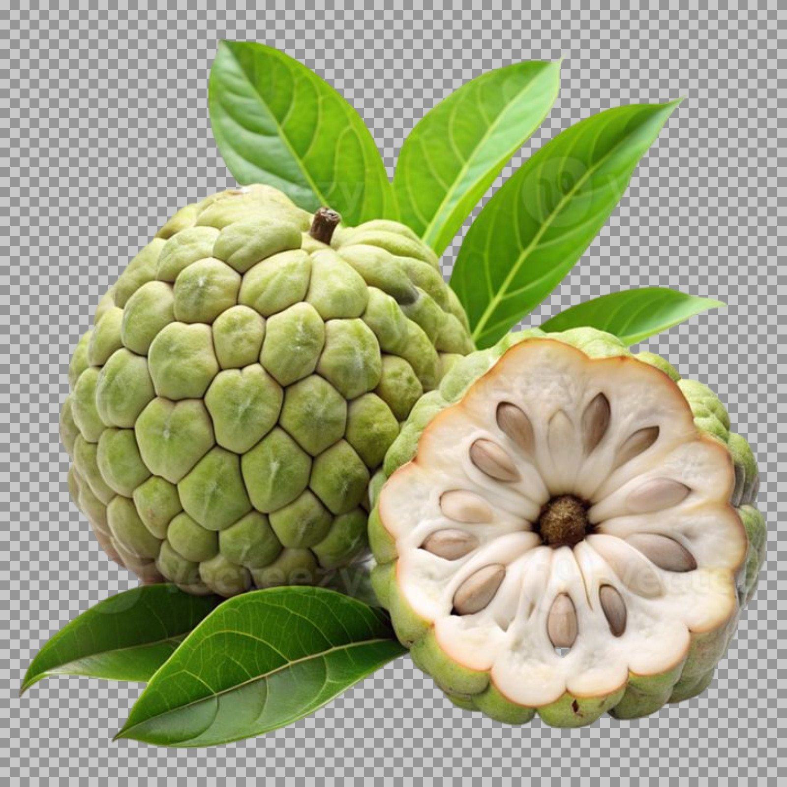 Custard Apple PNG | Free Sitaphal (Sugar-Apple) Fruit Image