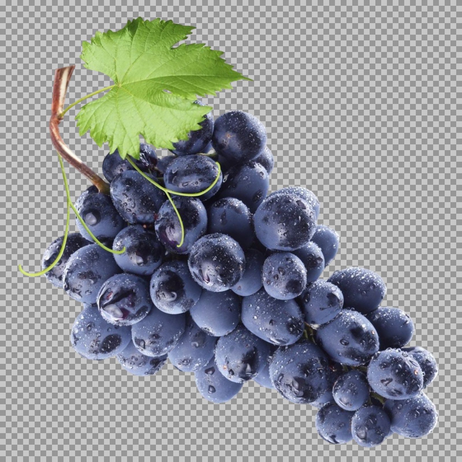 Fresh Black Grapes with Leaf PNG | High-Quality Fruit Image