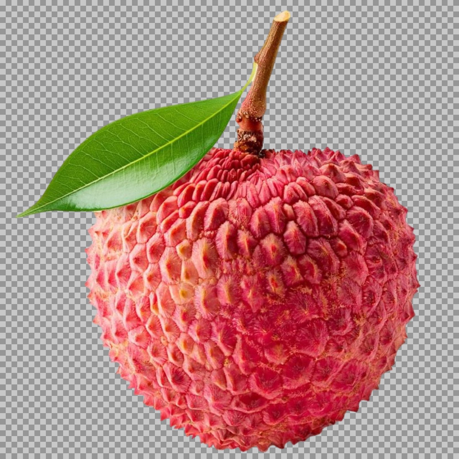 Single Lychee Fruit with Leaf PNG transparent image