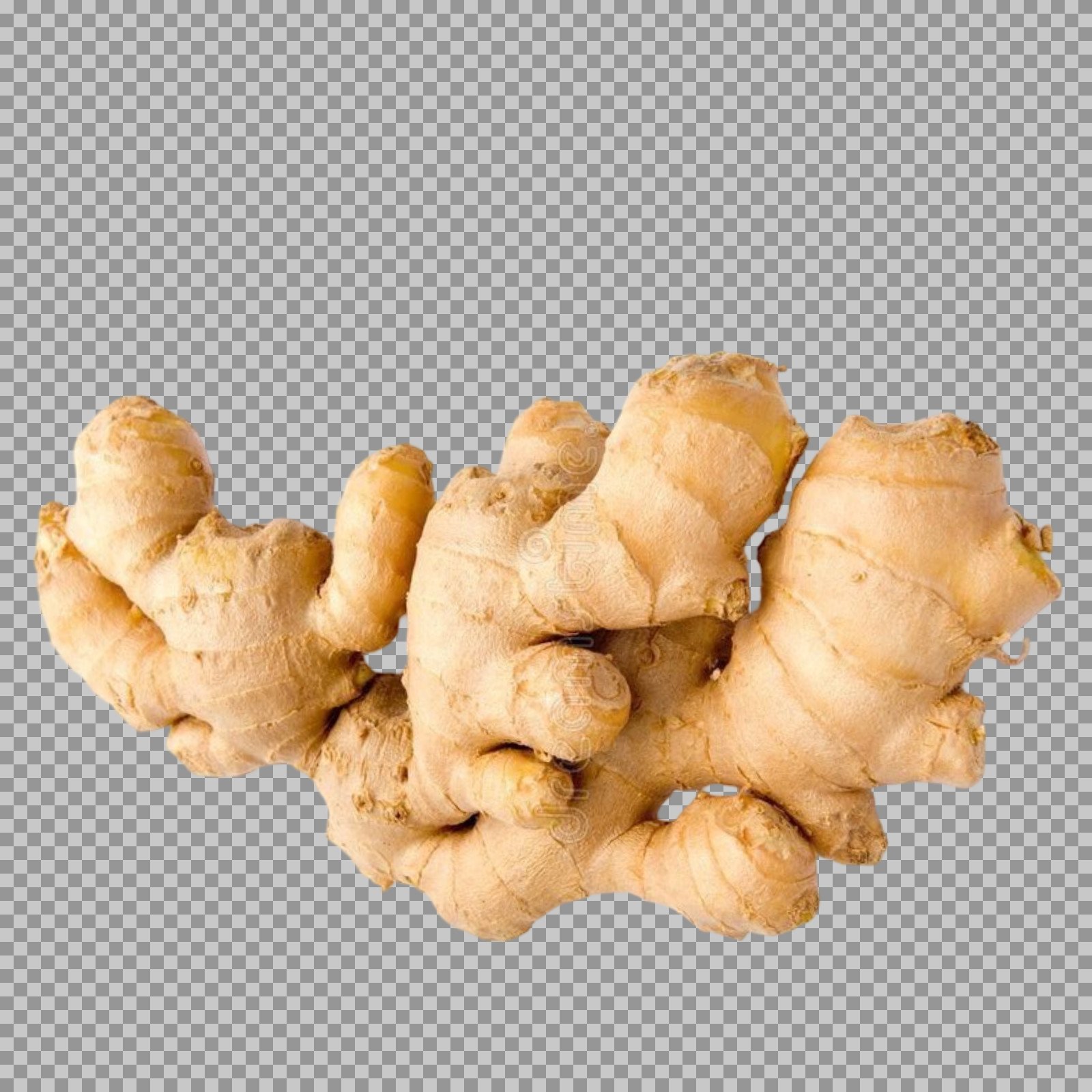 Fresh Ginger Root PNG | Isolated Spice with Transparent Background...