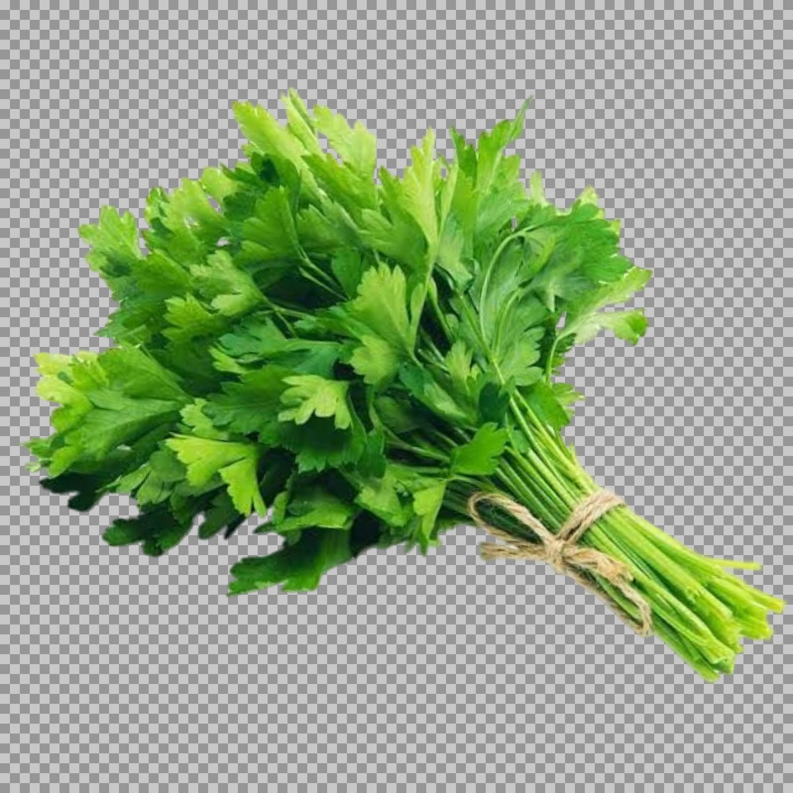 Fresh Parsley Bunch PNG | Isolated Herb (Transparent)...