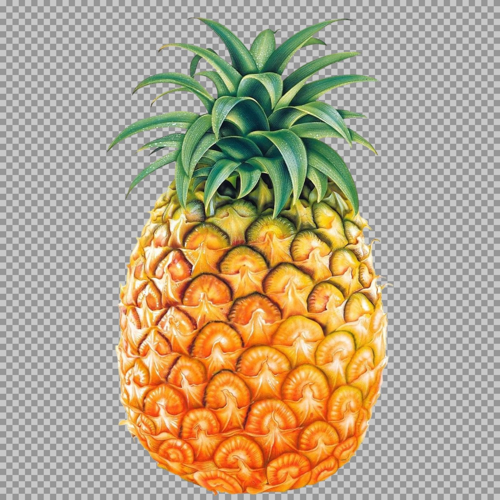 Ripe Pineapple PNG | Whole Tropical Fruit Illustration...